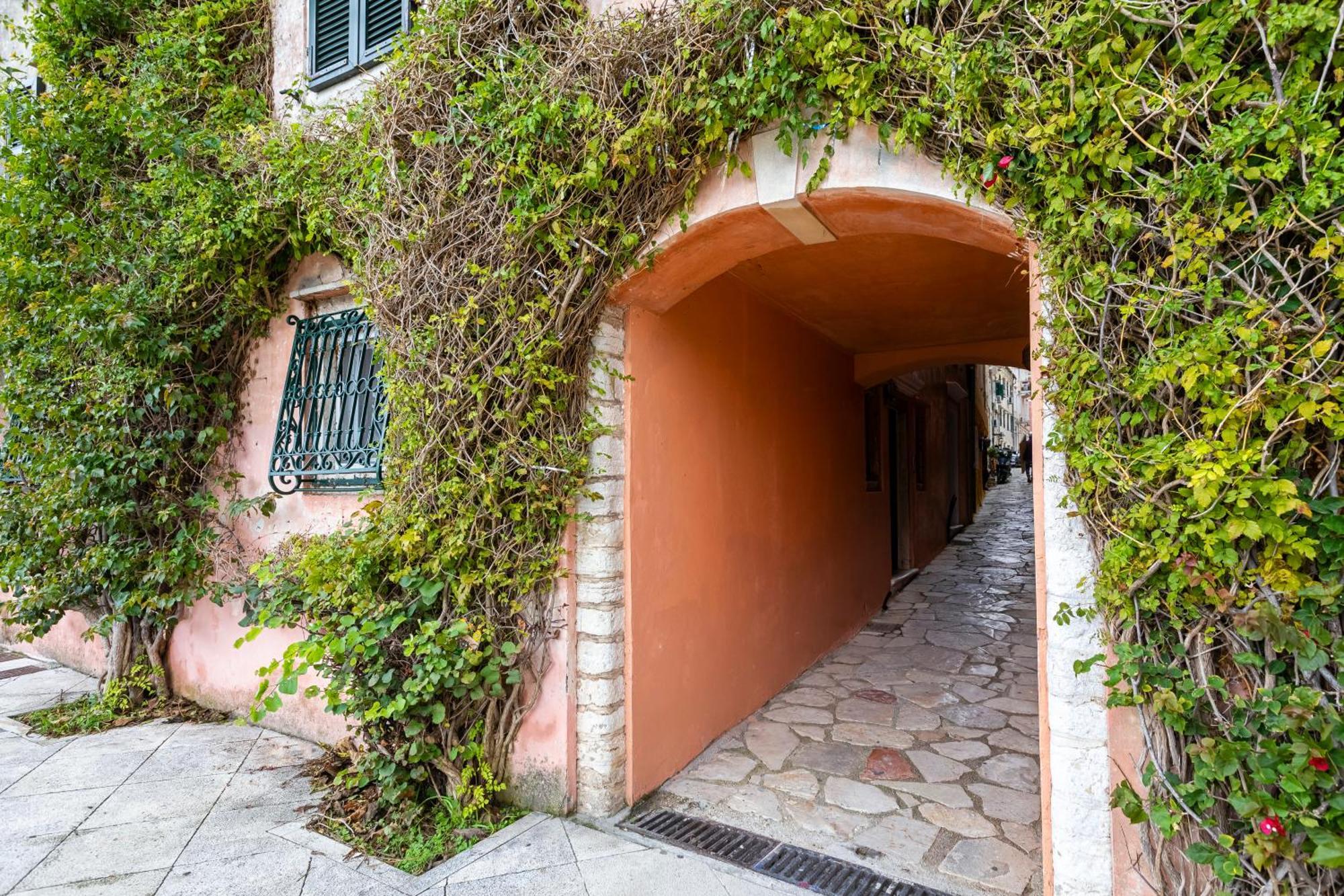 Studios In Corfu Corfu  Εξωτερικό φωτογραφία